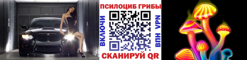 закладка  Дальнереченск  блэк спрут вход  Псилоцибиновые грибы Psilocybe 